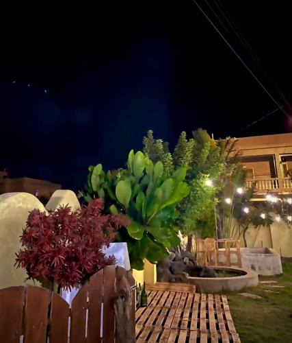 Daguang House | 解憂海灣Chill Bay潛水旅店