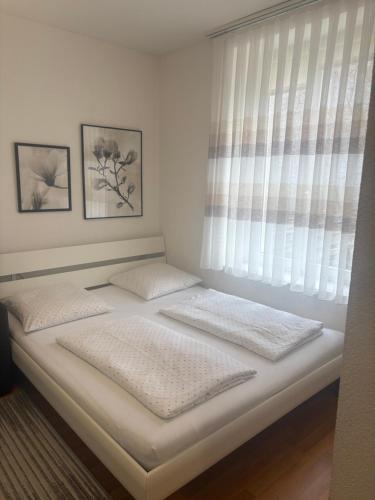 Winterthur Apartment | 1,5 Zimmer Appartement