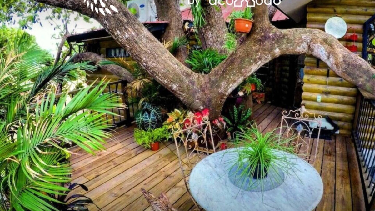 San Jose House | 1 bdr - Ensuite tree house 🌳🏠 premium amenities/Ranch and sanctuary 🦚🤠