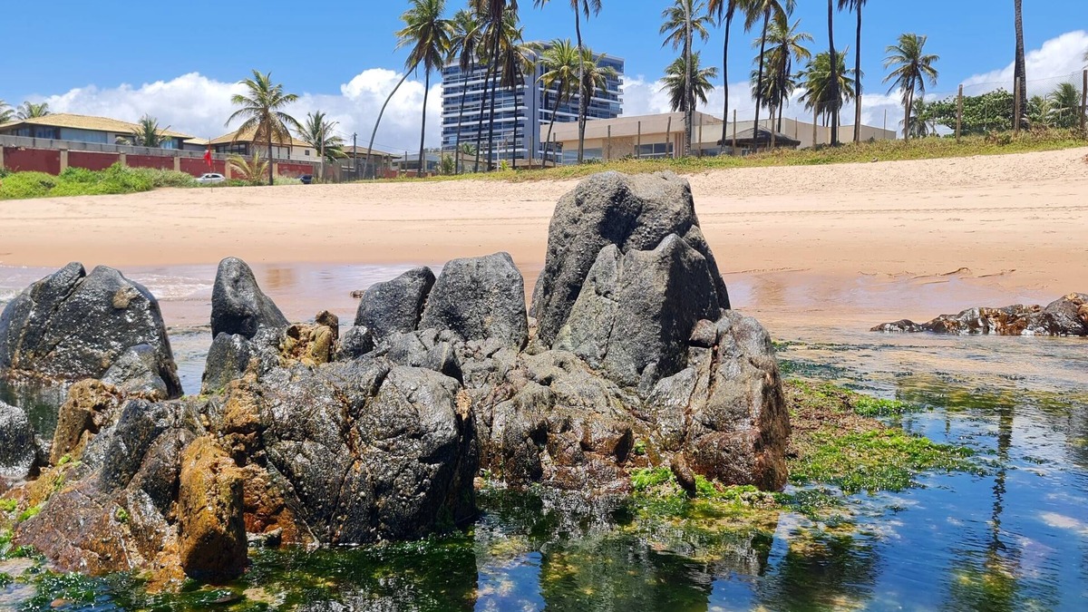 Stella Maris Apartment | 1 Bedroom Apartment with Sea View - Salvador - Work and Leisure at the same time