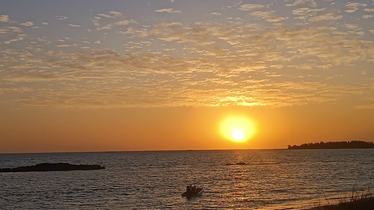 Rokers Point Apartment | 1 bedroom 1 bathroom beach house, beach right at your door stepsn