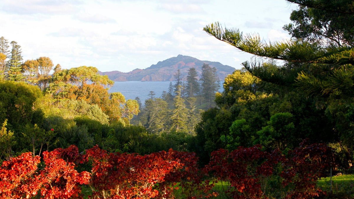 Norfolk Island Ski Chalet | 1 bedroom 2 bathroom house with wide verandah, sea views, incl car