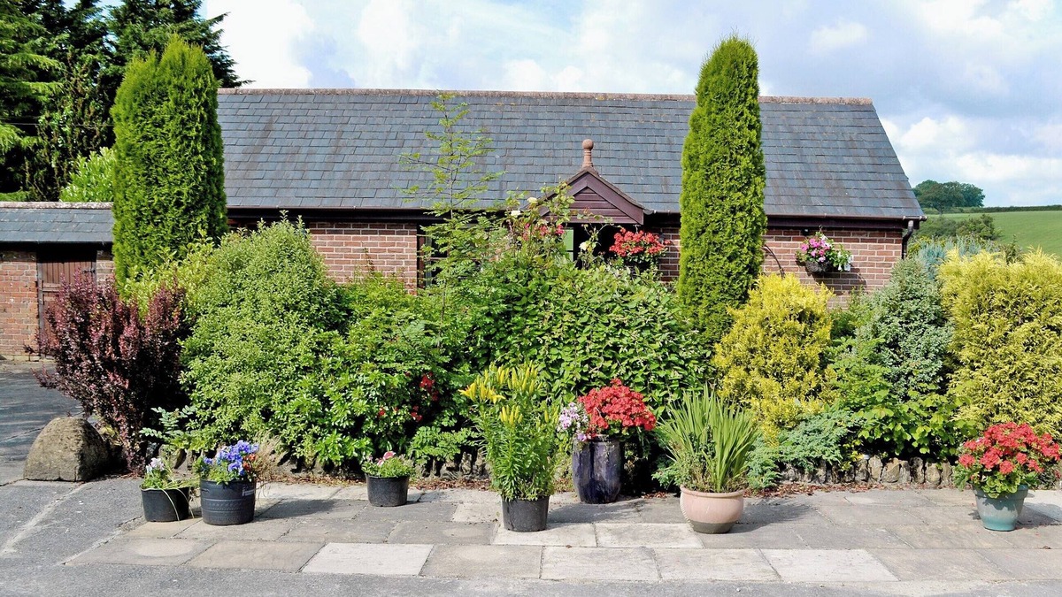 Evershot Cottage | 1 bedroom accommodation in Evershot