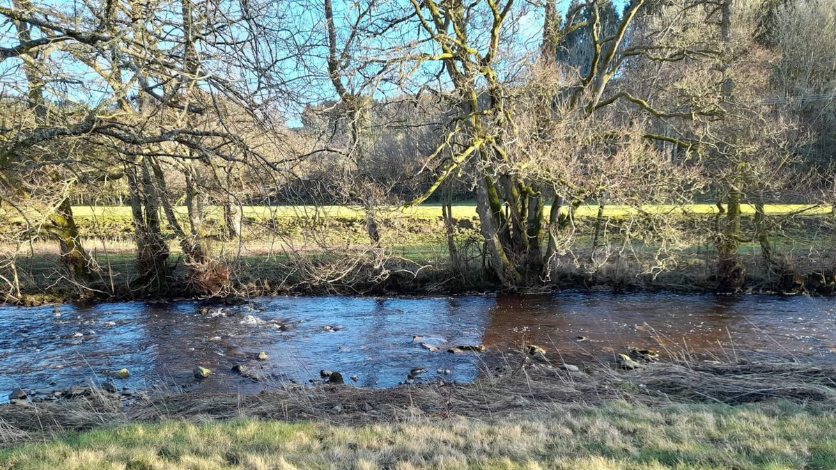 Selkirk Cottage | 1 bedroom accommodation in Ashkirk, near Selkirk