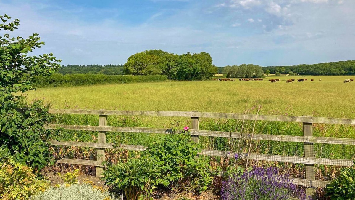 Market Rasen Cottage | 1 bedroom accommodation in Gautby