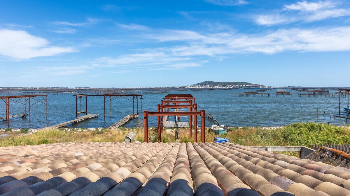 Loupian House | 1 bedroom amazing home in Loupian