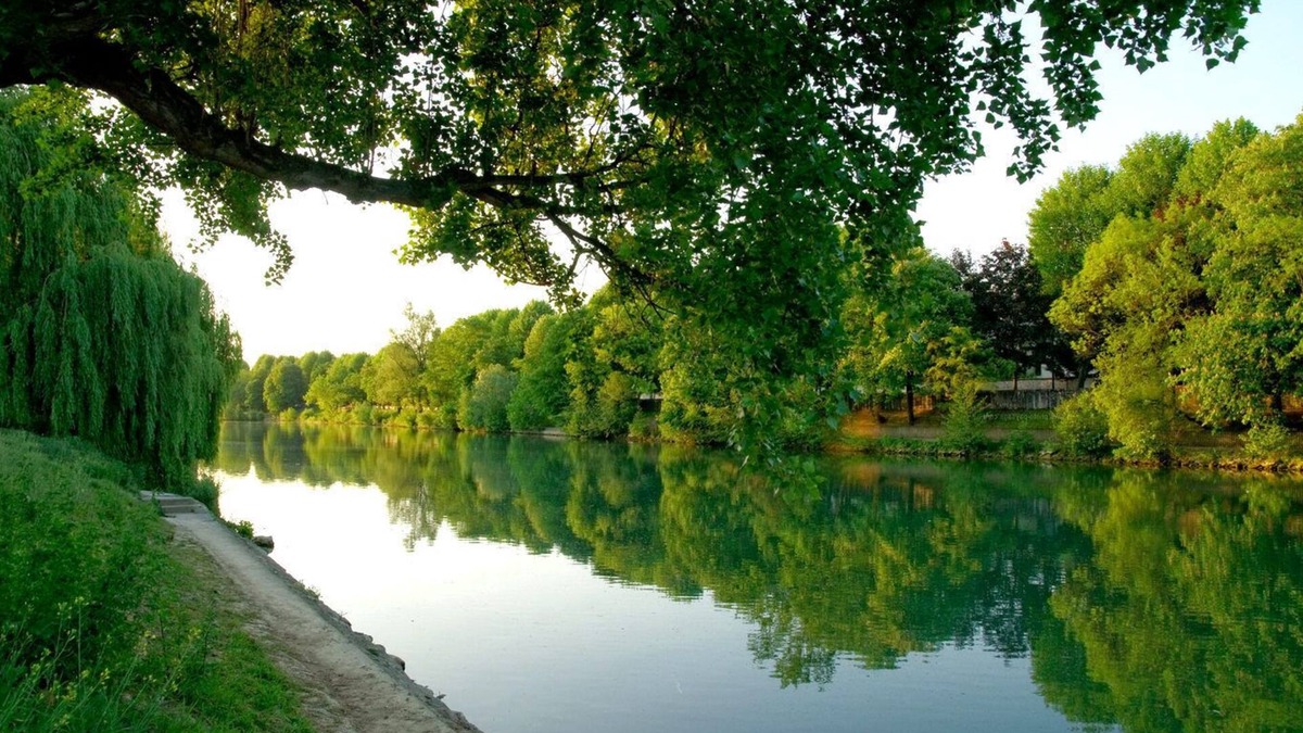 Bry-sur-Marne Apartment | 1 Bedroom Apartment in Bry-sur-Marne