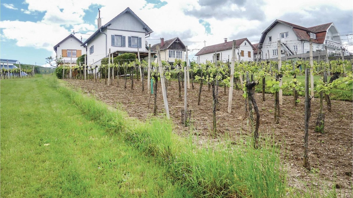 Hannersdorf House | 1 bedroom apartment in Hannersdorf