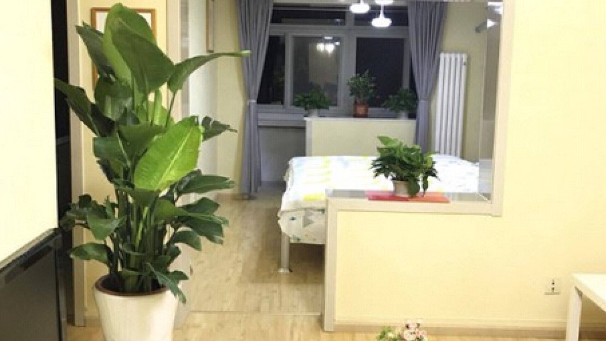 Beijing Central Business District House | 1 bedroom apartment, in Beijing CBD Guomao, 5 min from Guomao Metro station L1