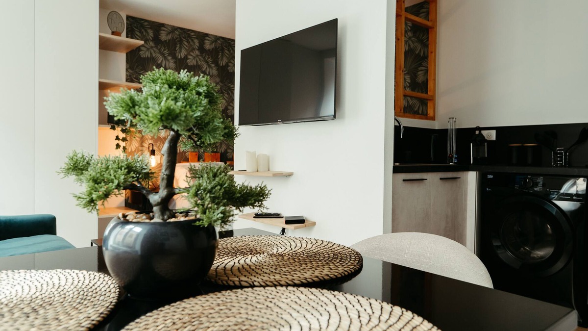 Mulhouse Apartment | 1 bedroom apartment in mulhouse