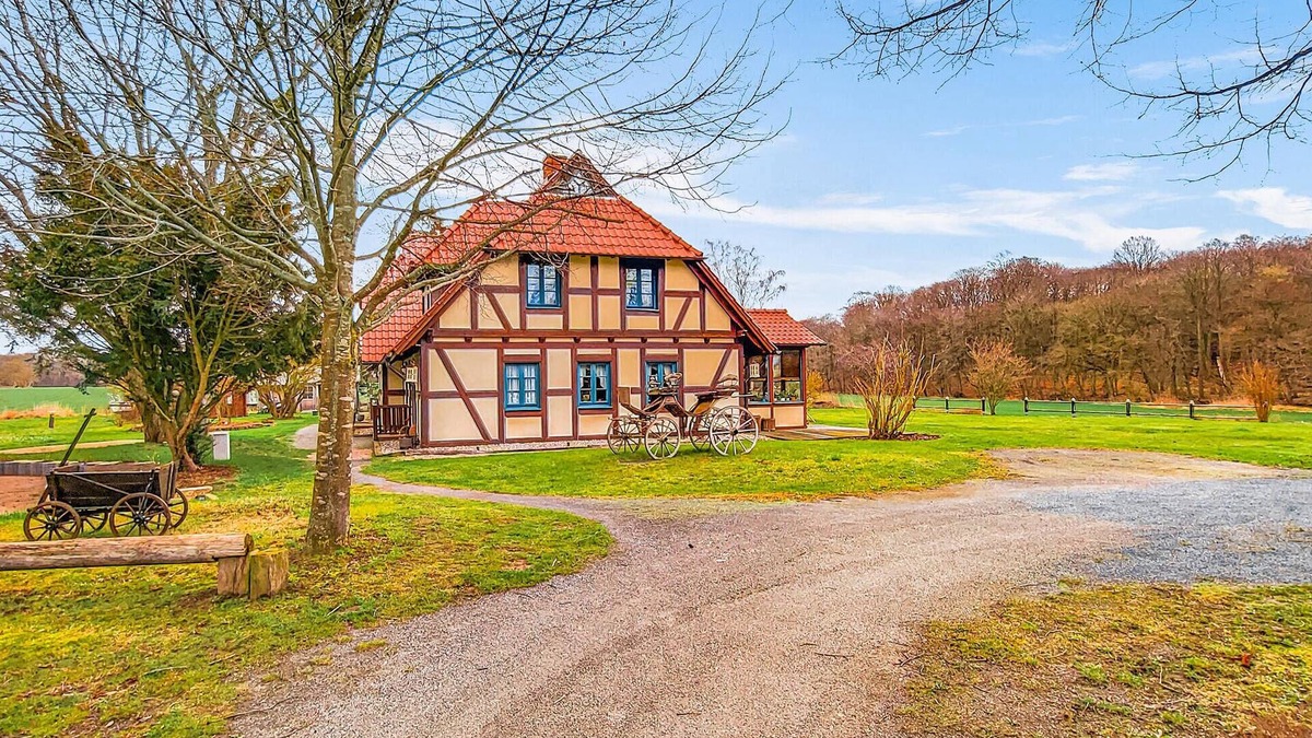 Sehlen Apartment | 1 bedroom awesome apartment in Sehlen