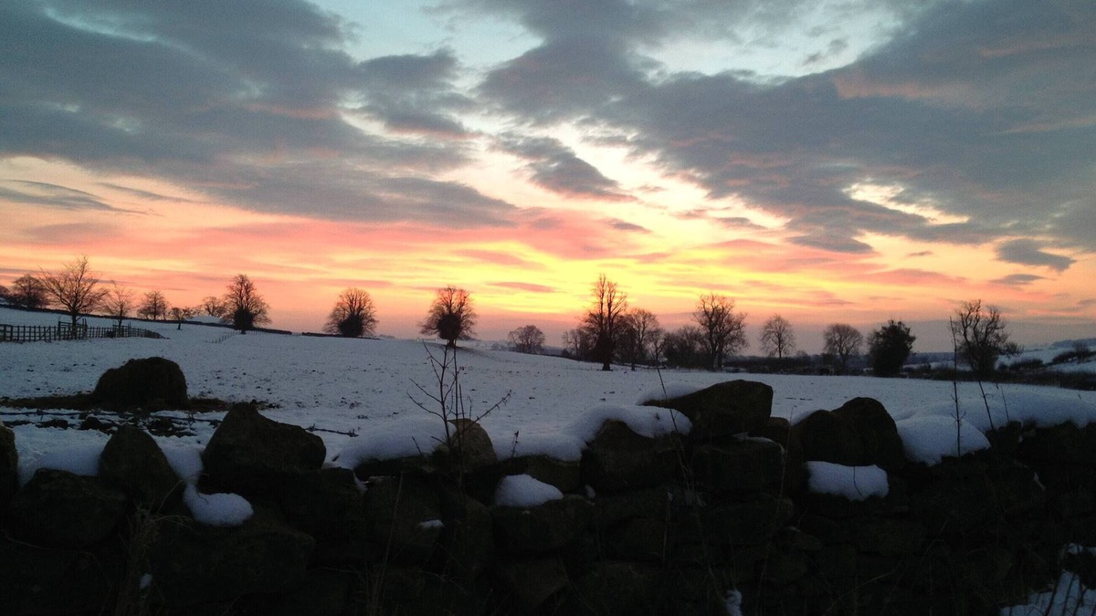 Richmond Cottage | 1 bedroom accommodation in Dalton near Richmond