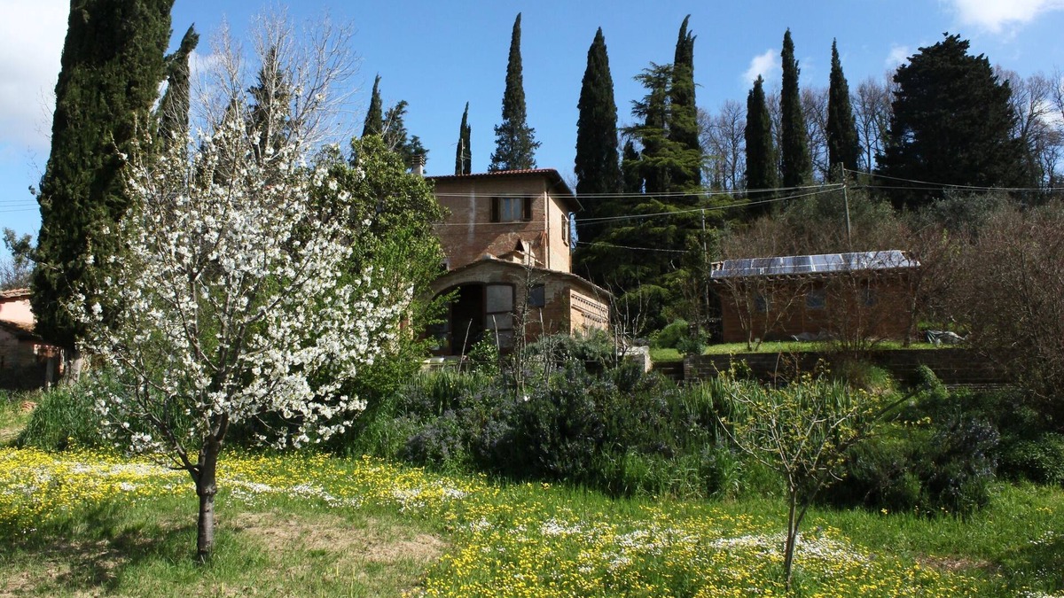Capannoli Bed & Breakfast | 1 Bedroom Bed & breakfast in San Pietro Belvedere