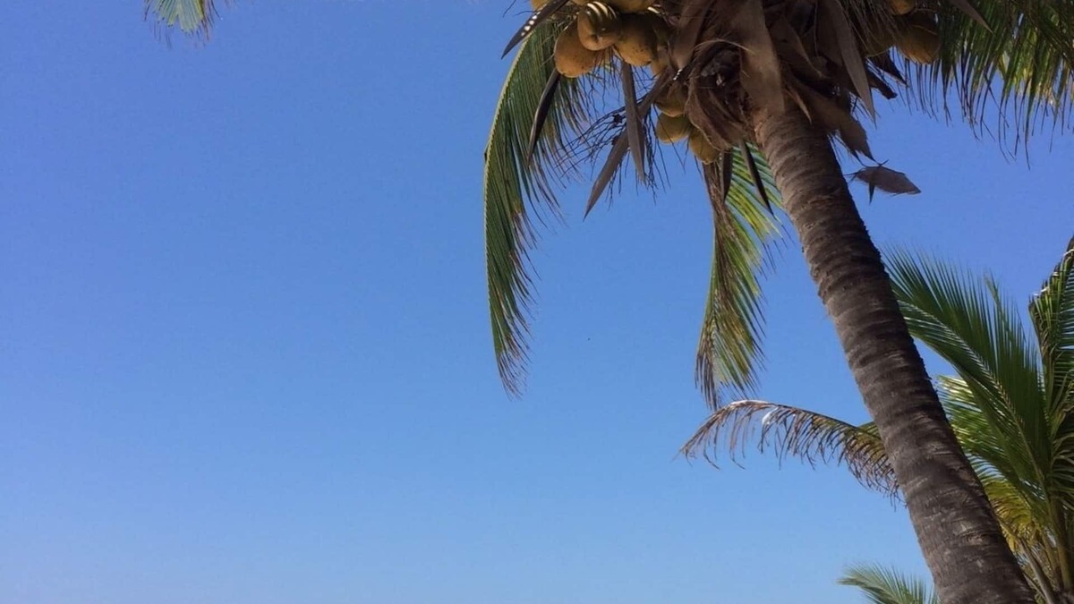 Soliman Bay Apartment | 1 Bedroom on Best Sandy Beach in Tulum. Snorkels, Kayaks, Paddleboards Included