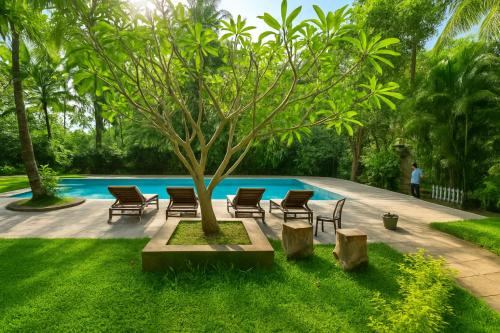 Patnem Apartment | 1 bhk Home Palolem Beach
