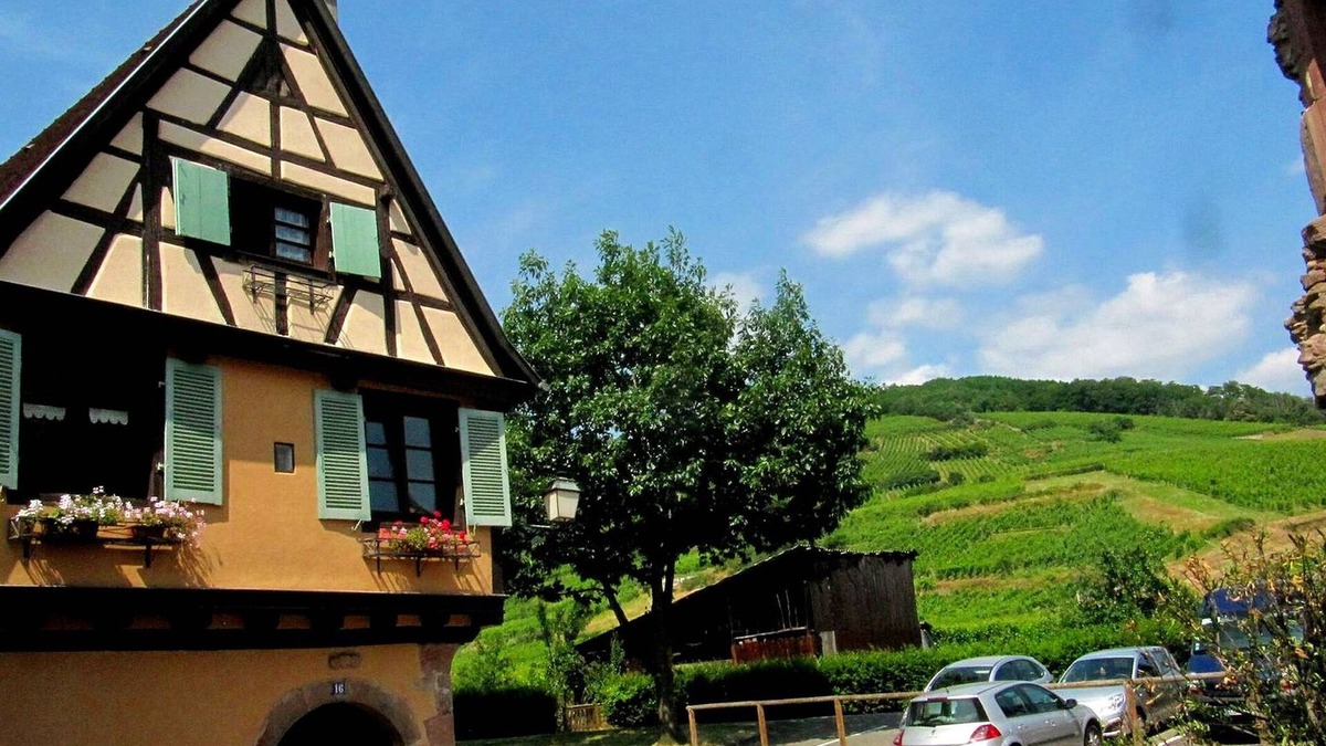 Ammerschwihr Apartment | 1-pied des Vosges, Plein Sud, Coeur du Vignoble, Confortable, Calme,wifi Gratuit