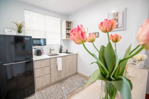 Santurce Apartment | 1 Santurce 1 Bedroom 1Bathroom Apt