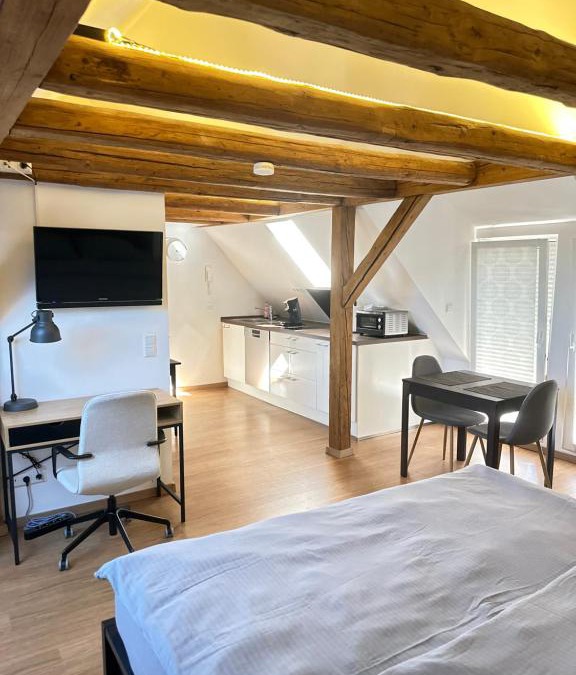 Oedheim Apartment | 1 Zimmer Wohnung DG mit Klimaanlage und kleinen Balkon