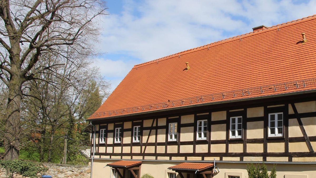 Maxen Apartment | 10 km to Dresden - Modern apartment in the farm with own horses, garden pool