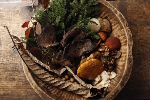 Uonuma Cabin | 10 stories hotel oze 尾瀬十帖