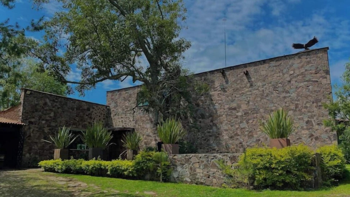Tapalpa Cabin | 10. The Tree Housen
