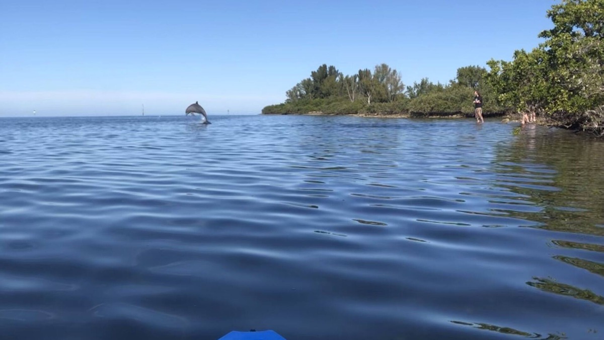 Pleasure Isles House | 100% Back Up And Running! Waterfront!