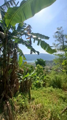 Pokhara House | 100 cottage stay