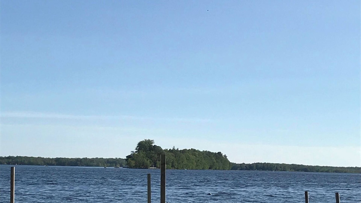 Carden Cottage | 100 ft lakefront cottage