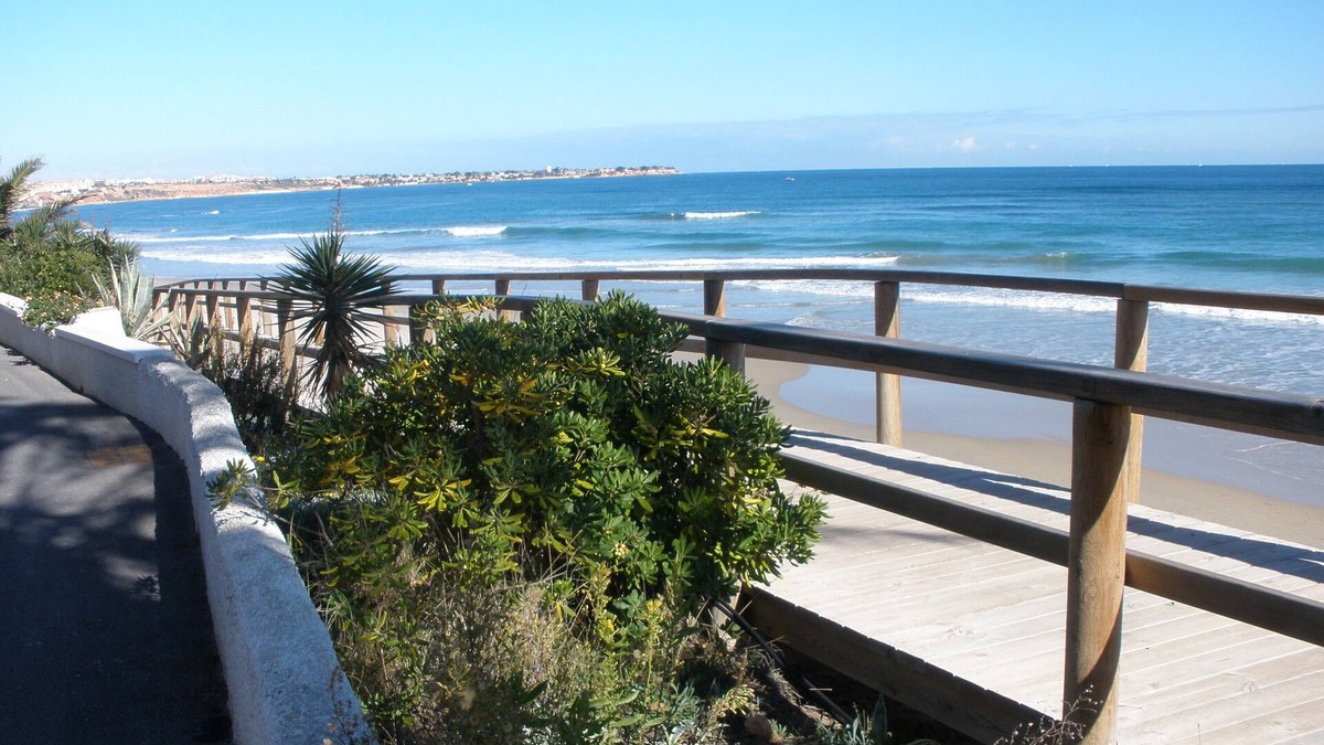 Mil Palmeras House | 100 m from the sea, BBQ, WiFi and TV Satellite