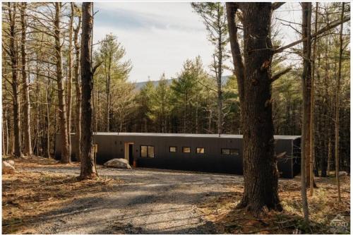 Round Top House | 100ft of Forest Light - Modern Catskills Escape