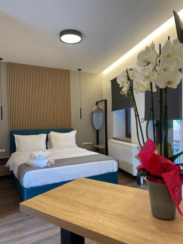 Metsovo Apartment | 11 Luxury apartments.
