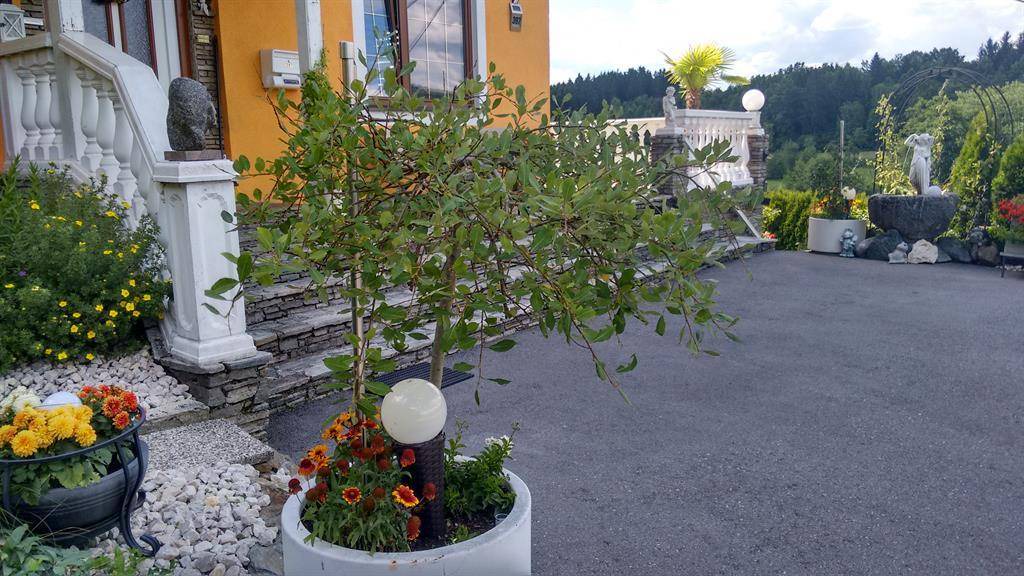 Klagenfurt-Wolfnitz Hotel | 11 m² Hotel ∙ 1 bedroom ∙ 2 guests