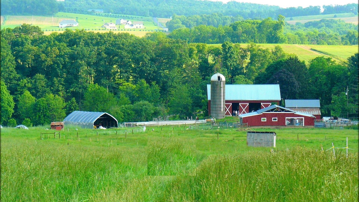 Sunbury House | 112-Acre Sheep Farm Guesthouse: Animals, Nature, Scenery