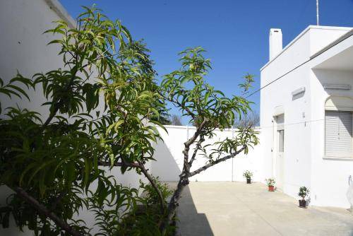 Casalabate Apartment | 112 m² Apartment ∙ 2 bedrooms ∙ 8 guests