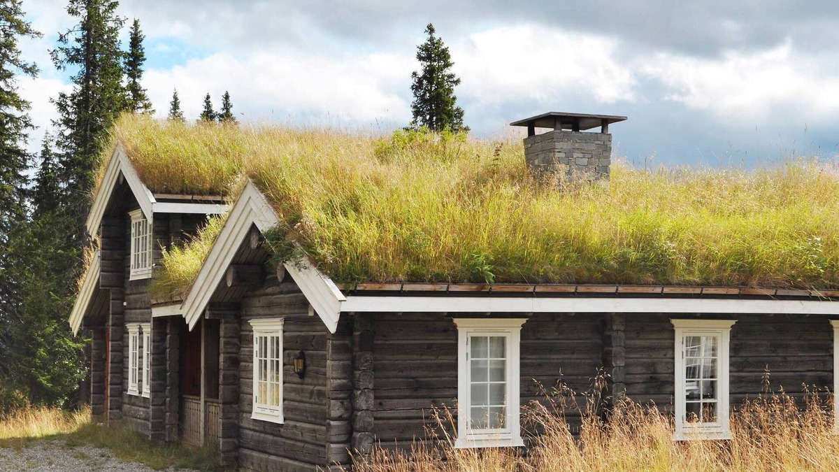 Skeikampen House | 12 person holiday home in Fåvang