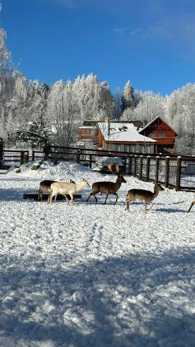 Stachy Bed & Breakfast | 125 m² Bed and breakfast ∙ 2 bedrooms ∙ 6 guests