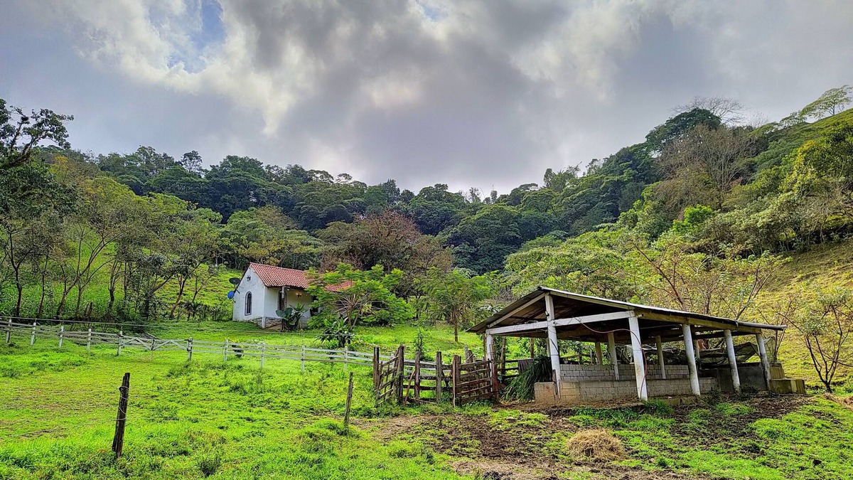 Xilitla Cabin | 15 minutes from the magical town of Xilitla SLP! SAN AUGUSTINE Cabin