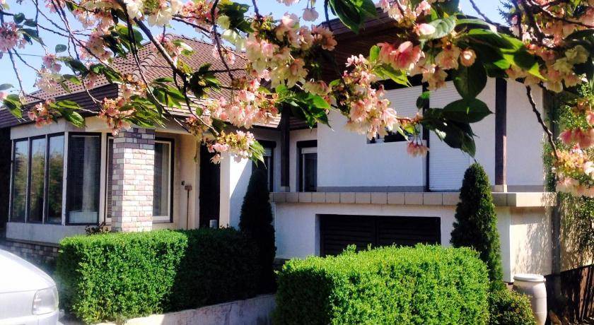 Nyiregyhaza Apartment | 150 m² Apartment ∙ 4 bedrooms ∙ 10 guests