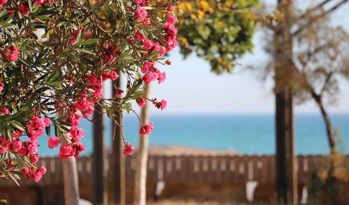 Playa de Almarda Cottage | 150 m² Cottage ∙ 3 bedrooms ∙ 8 guests