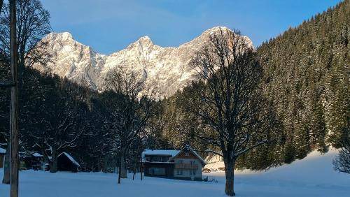 Schildlehen House | 157 m² House ∙ 4 bedrooms ∙ 10 guests