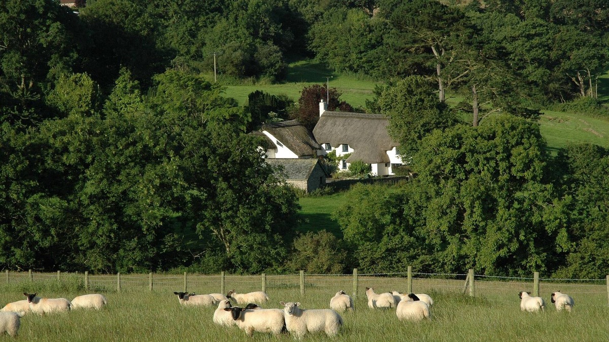 Littleham Cottage | 16th Century Thatched Cottage in an Acre of Mature Gardens
