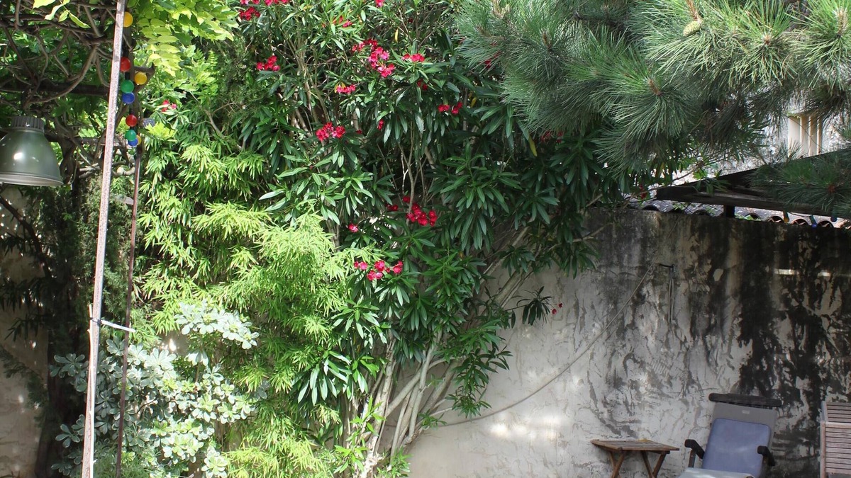 Noves Apartment | 18 Century Provencal Mas With Swimming Pool