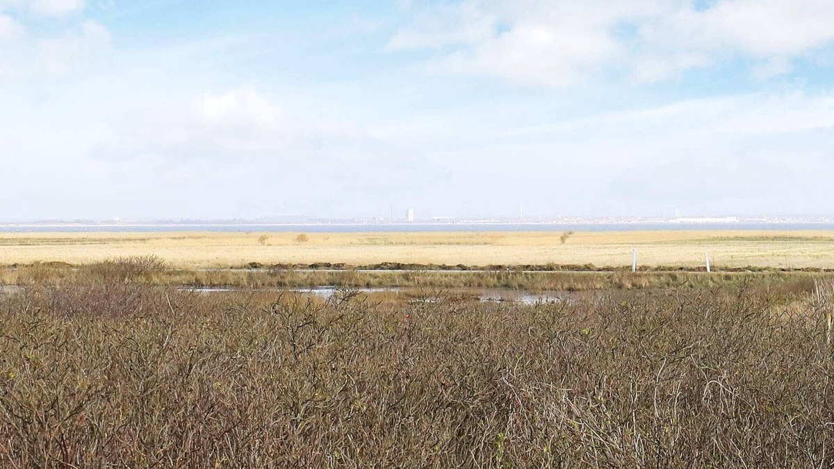 Klegod Strand House | 18 person holiday home in Ringkøbing