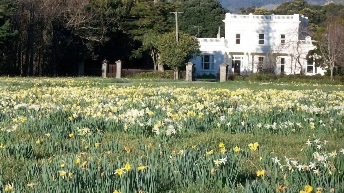 Whangaimoana House | 1876 Heritage homestead