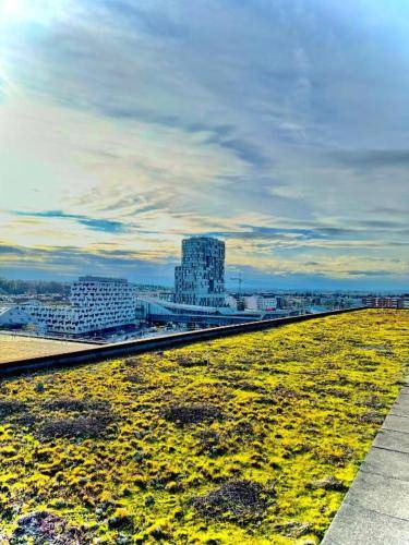 Sankt Alban Apartment | 190 m² Apartment ∙ 3 bedrooms ∙ 10 guests