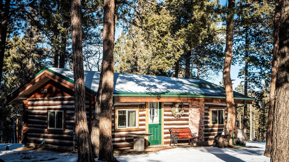 Divide Cabin | 1950's Retro Cabin on 40 Wooded Acres