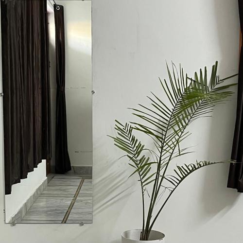 Jaipur House | 1BHK Villa In Jaipur