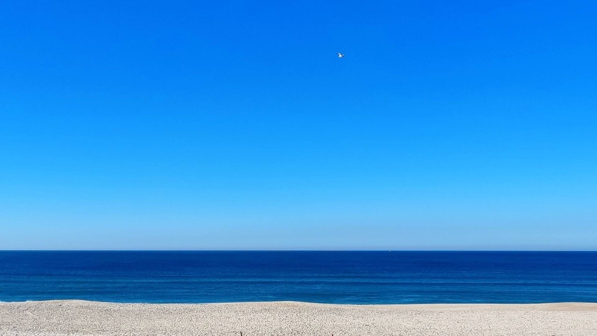 Barra Apartment | 1st line beach apartment
