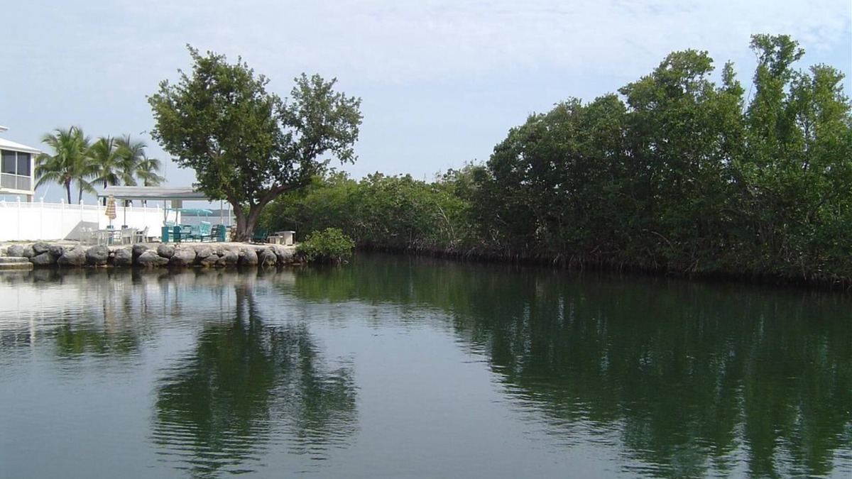 Cross Key Waterways House | 2/2 Oceanside house within walking distance to Pennekamp state park