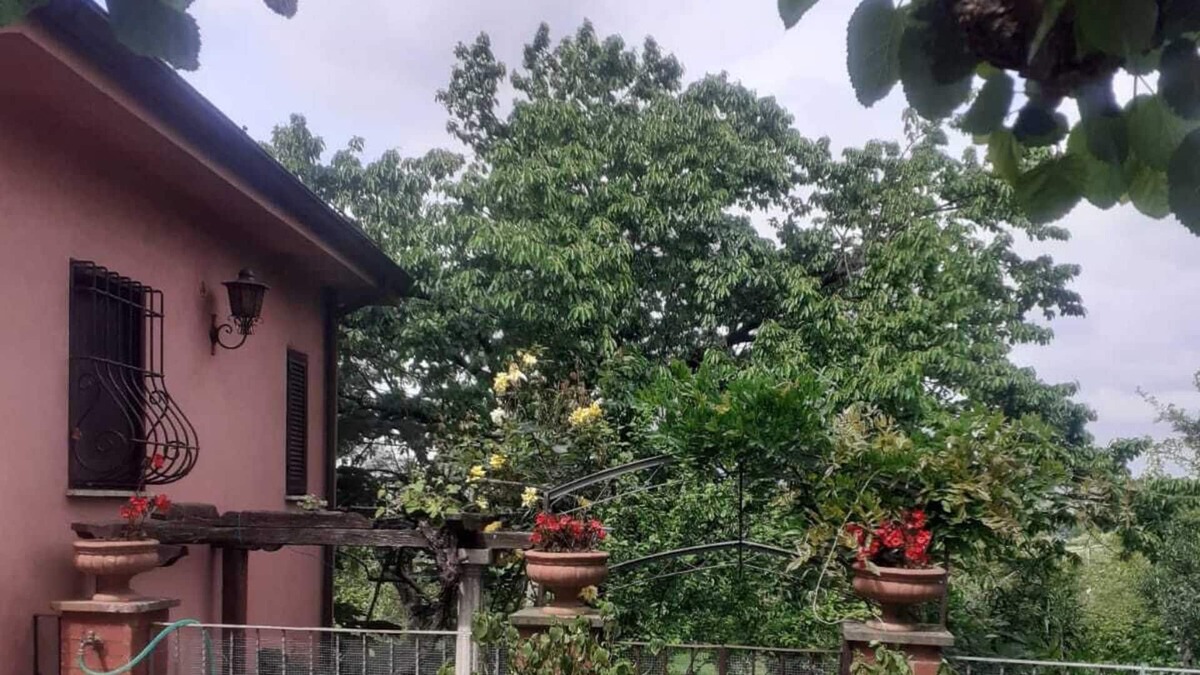 Velletri Apartment | 2 appartamenti in villa